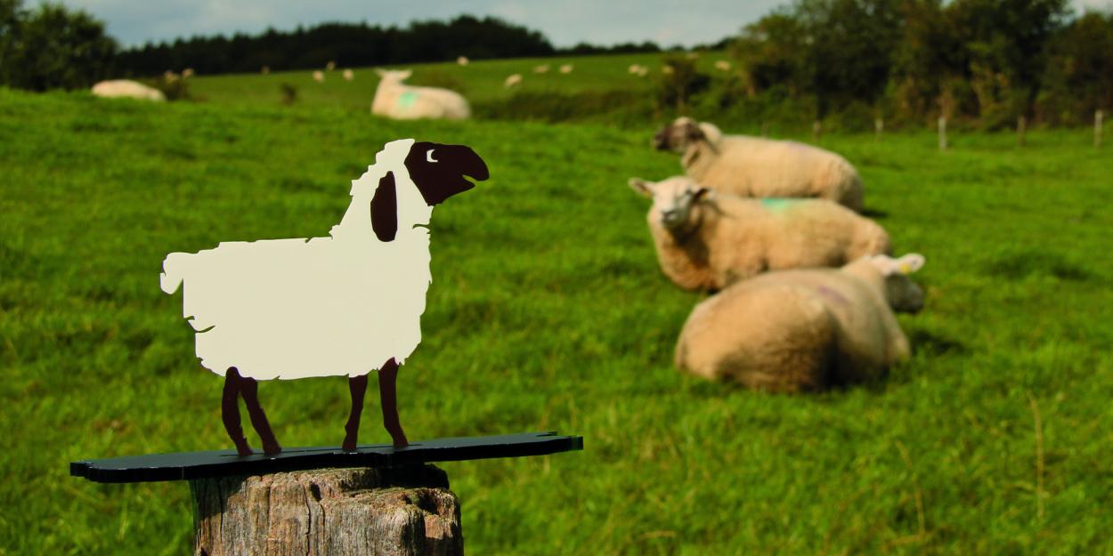 Scharf oder unschaf?